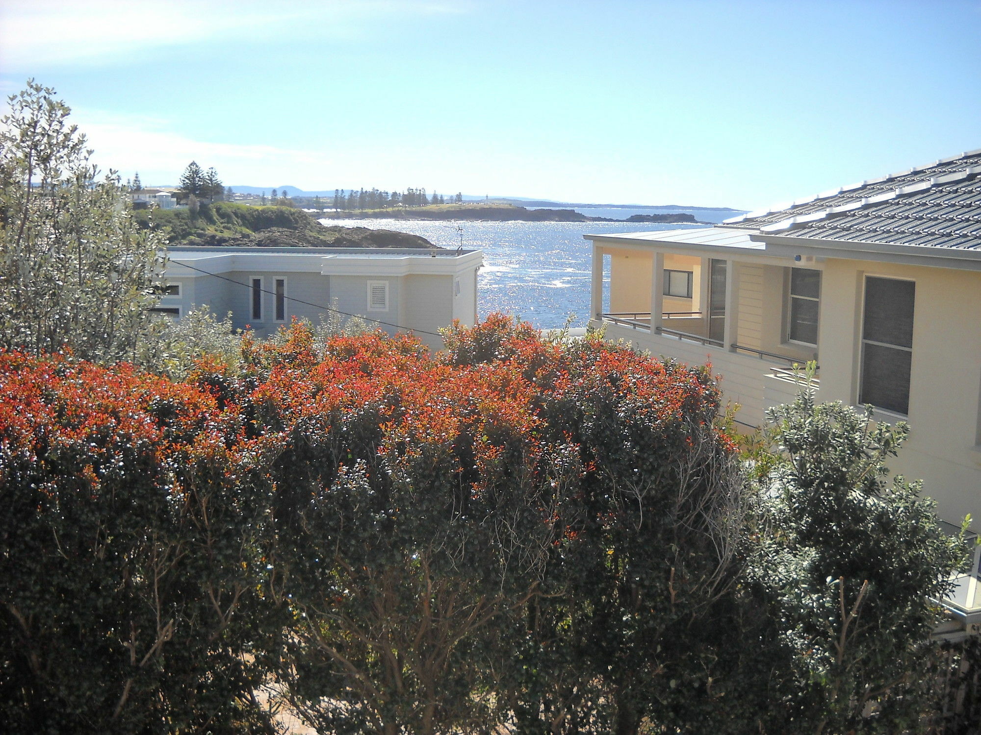 Shutters By The Sea Kiama-Sea Views-Waterfront-Private On Coastal Walk Extérieur photo